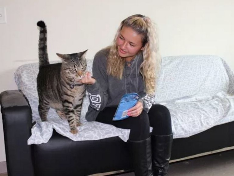 Emotional Support Cat Lives With College Freshman In Dormitory