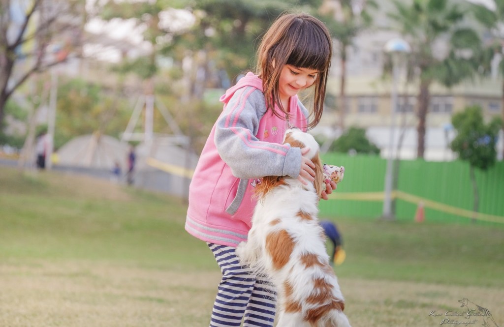 therapy animals help