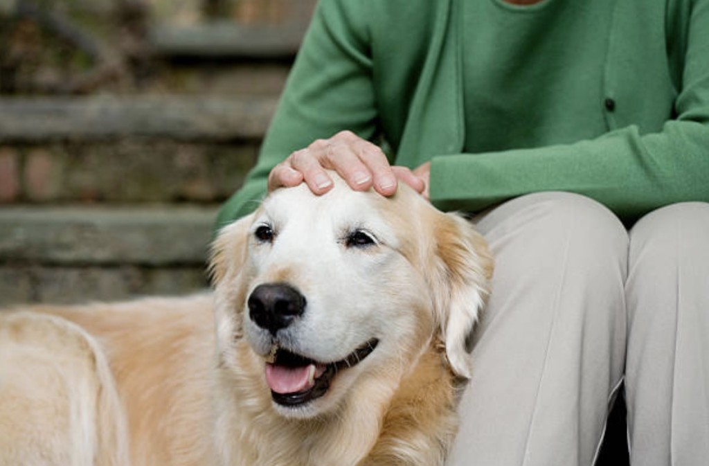 visually impaired woman