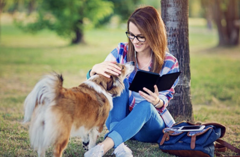 can therapy animal reside with owner