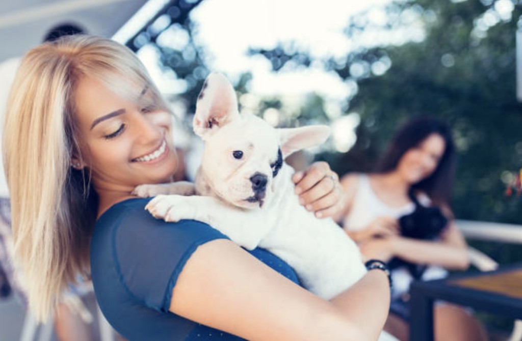 service dogs in training visit students