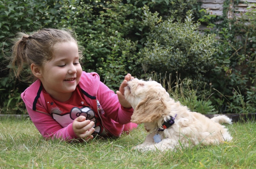 kid and therapy dog