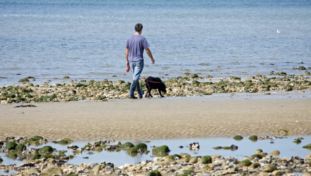 blind veteran and labrador