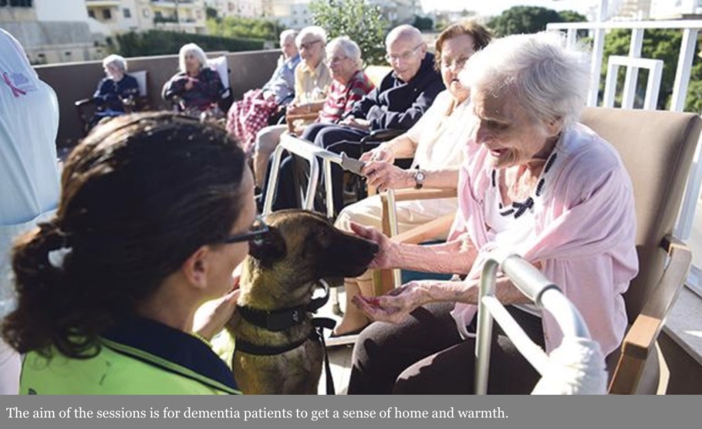 dogs at nursing home