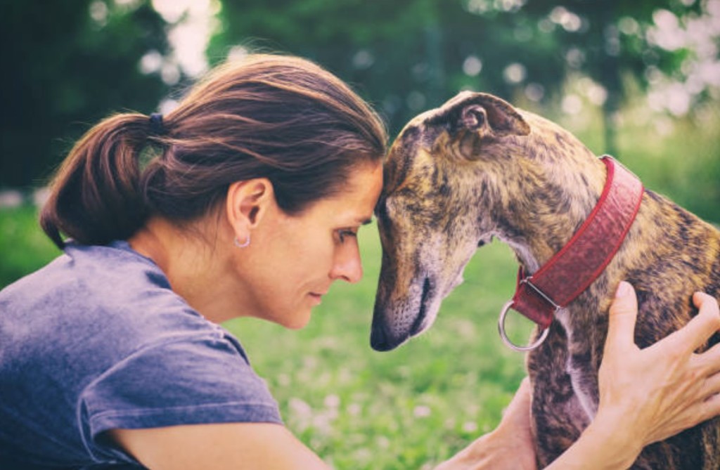 woman and assistance dog