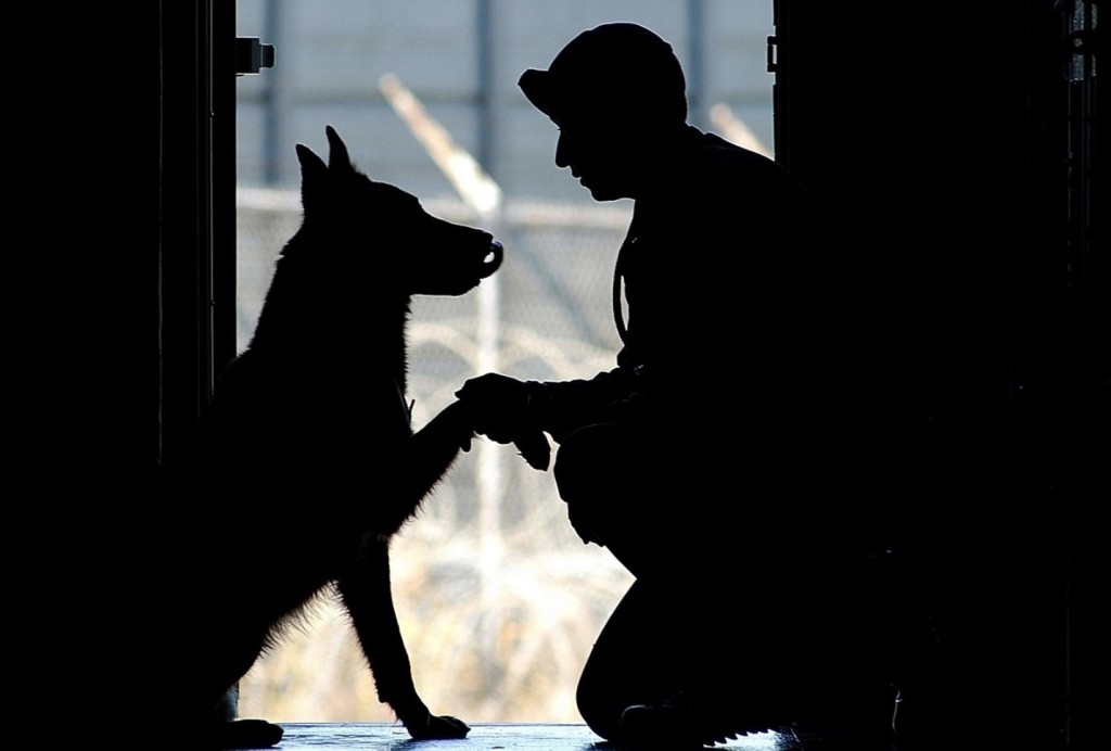 soldier and dog