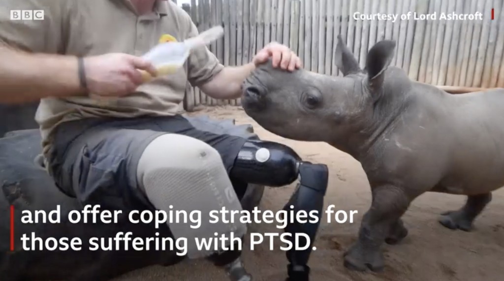 rhino therapy