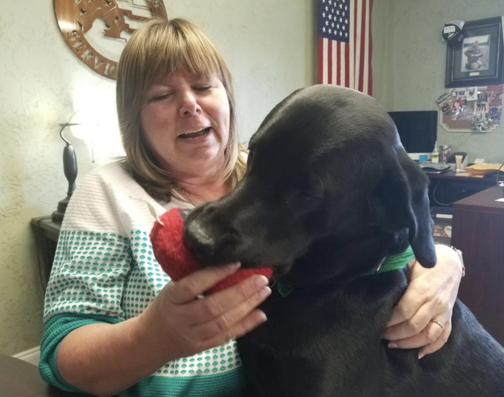 working with therapy dogs