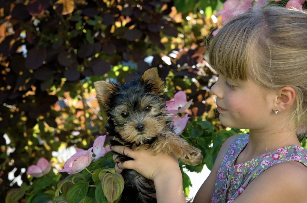 puppy and kid