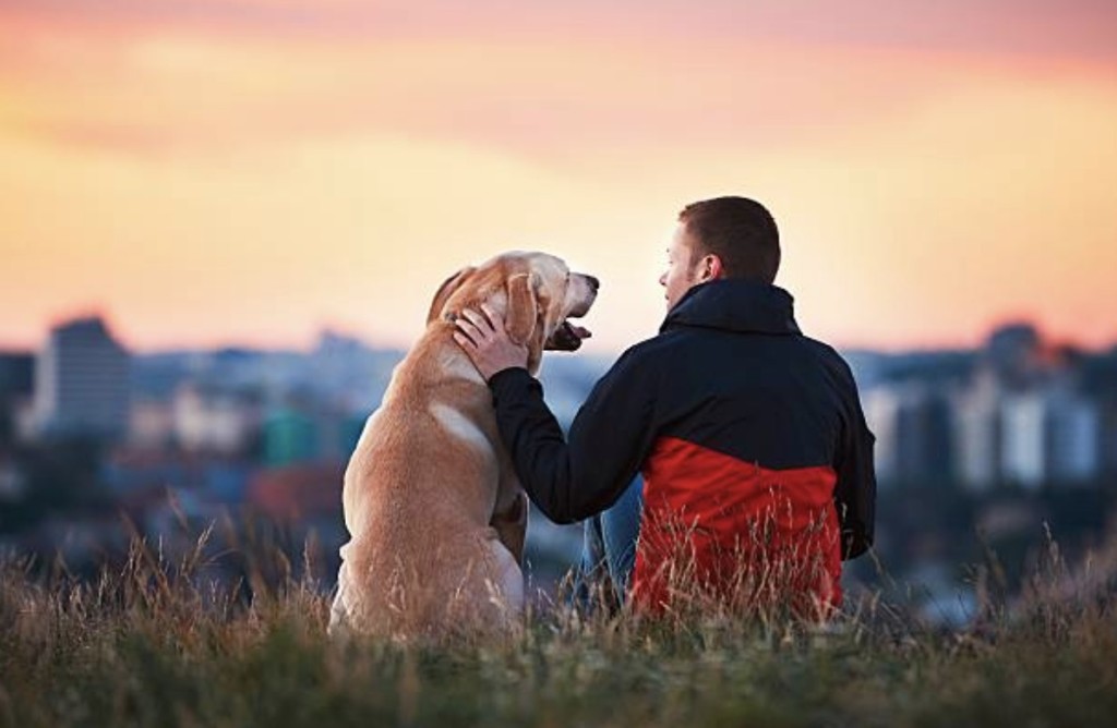 dog and owner