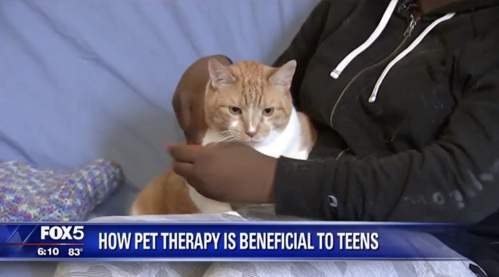 pets benefit teens