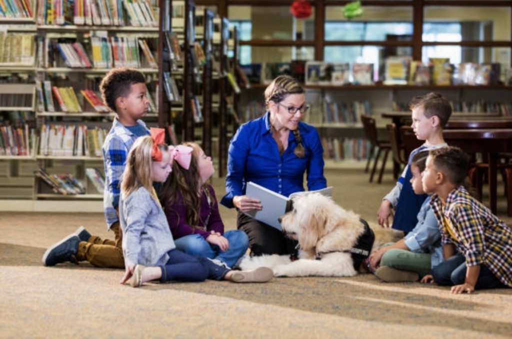 dog with students