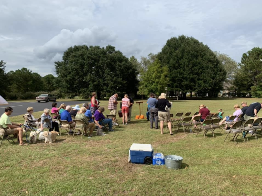 blessing of dogs