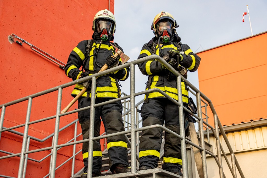 firefighters rescue animals