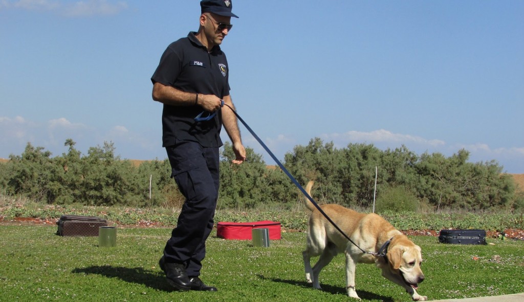 project to protect police dogs