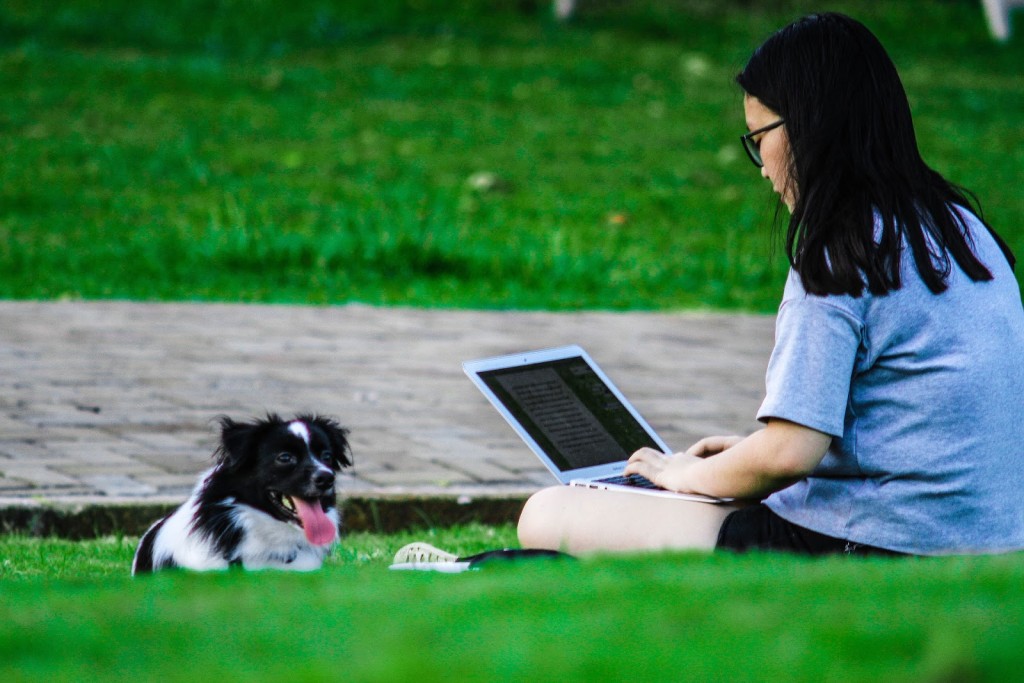 therapy dogs help students