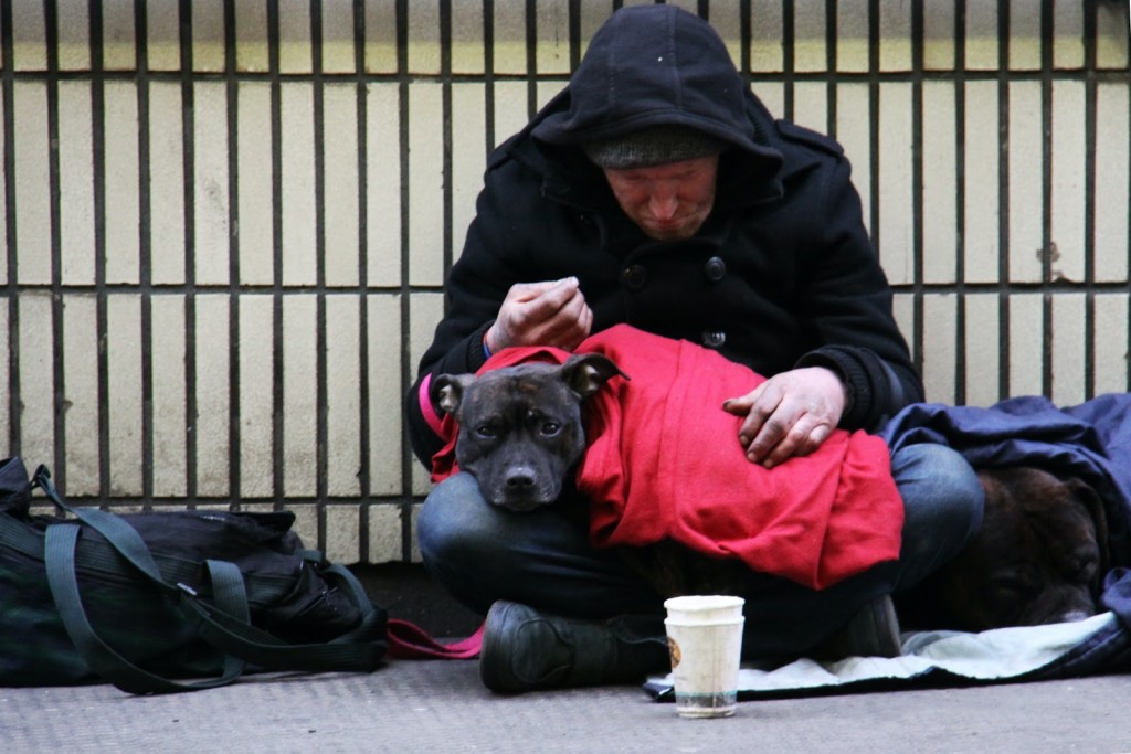 couple starts pet food project