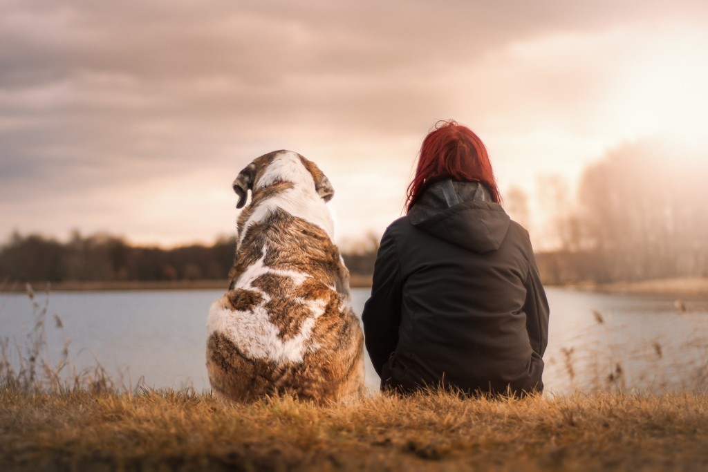 dog and person in need of emotional support