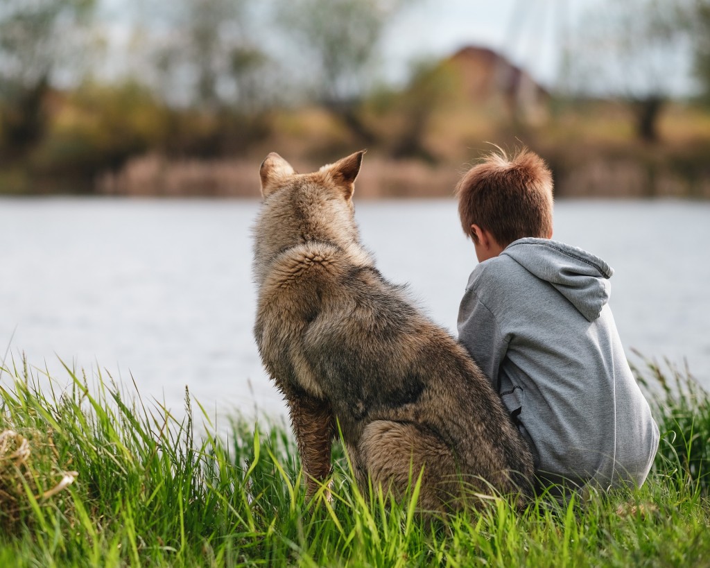 dog and boy