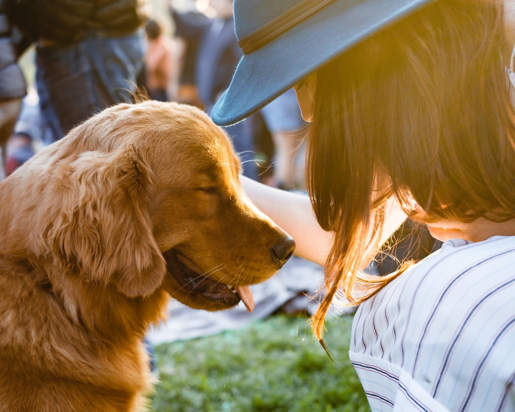 dog and woman