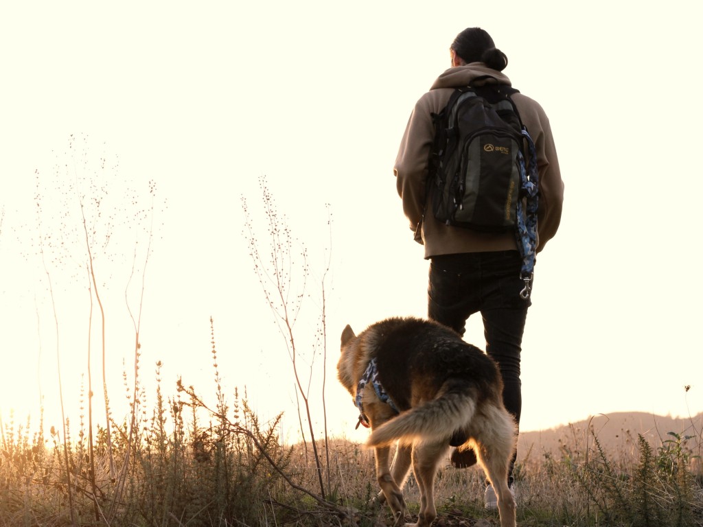 german shepherd and man