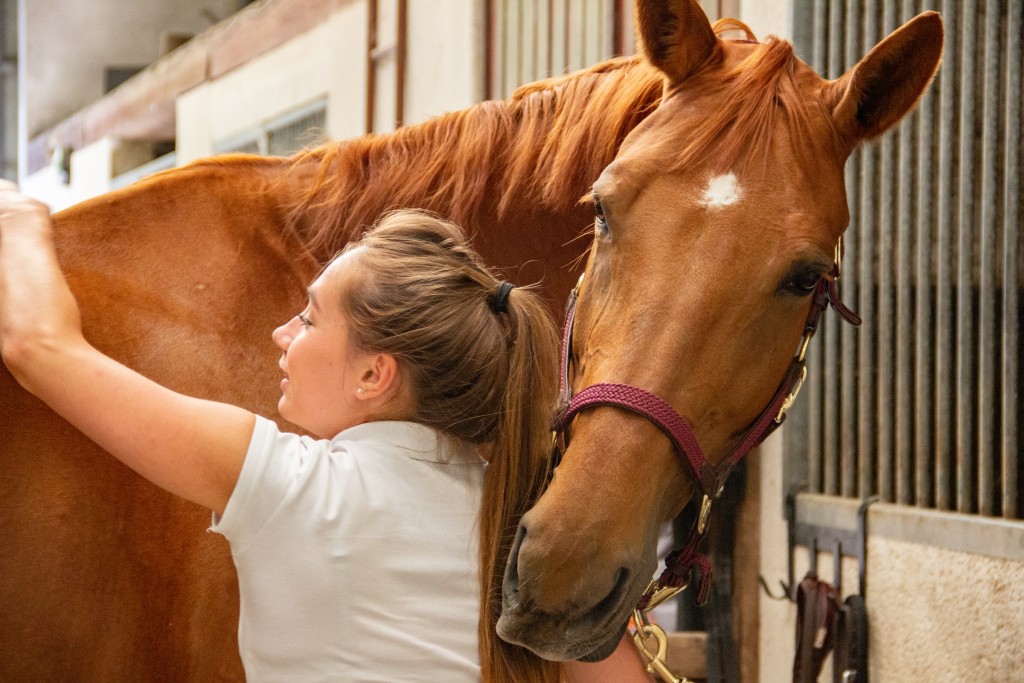 woman and horse