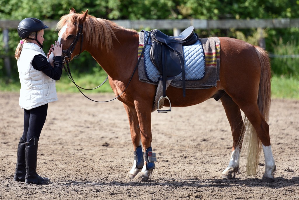 young person and horse