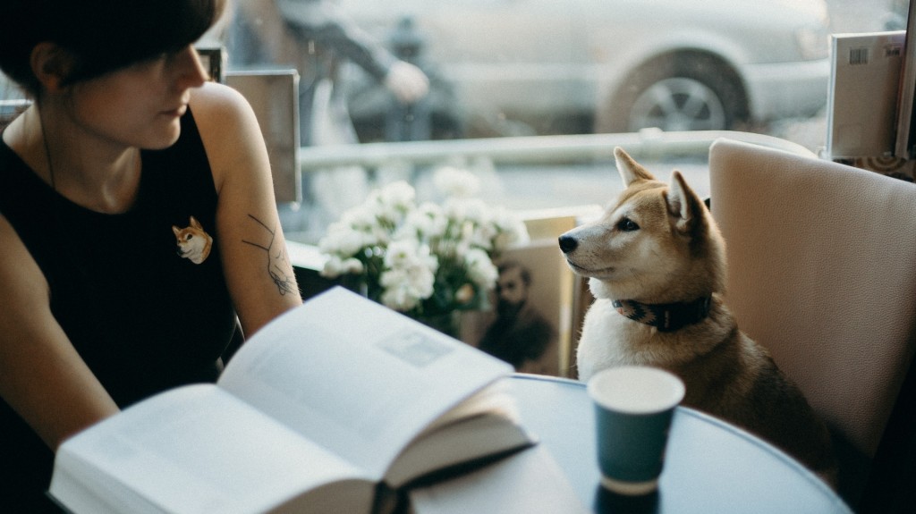 dog and reading