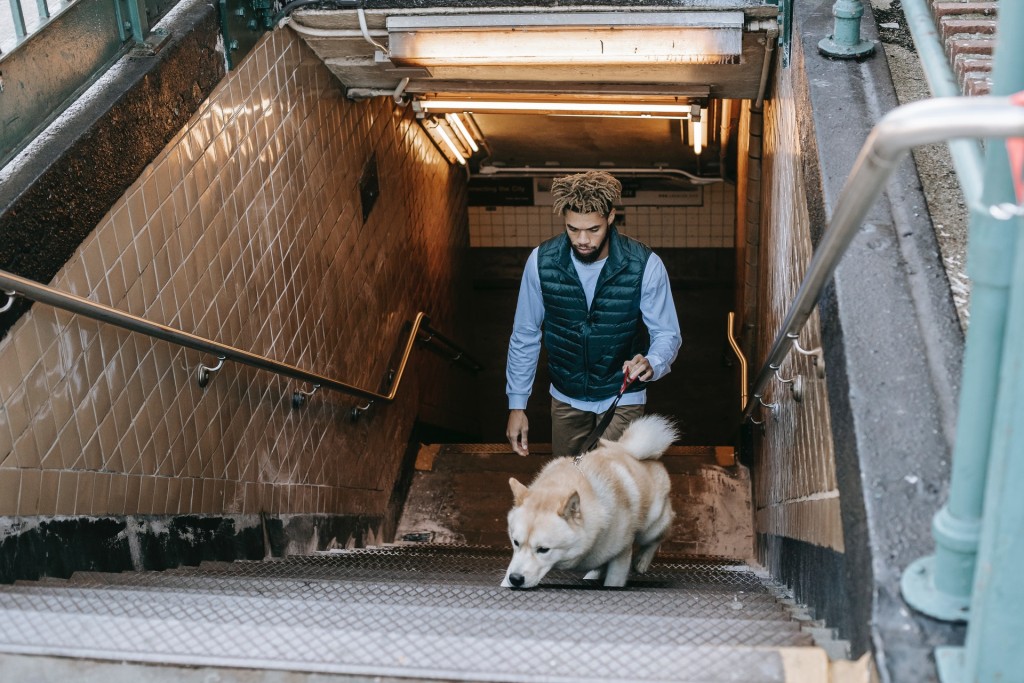 man in public with dog