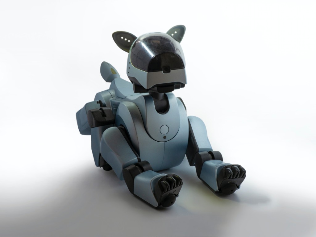 robodog