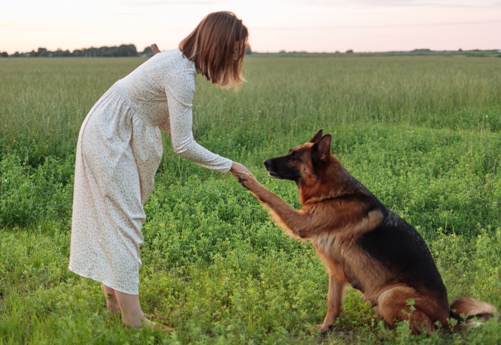 doggo and vet