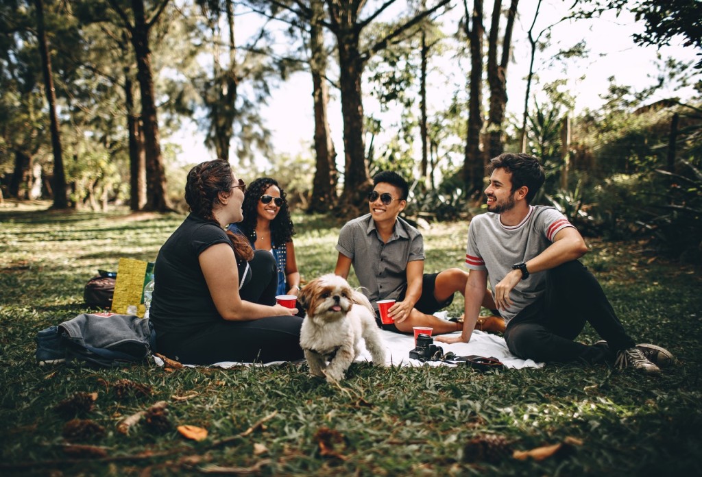 therapy dogs in schools