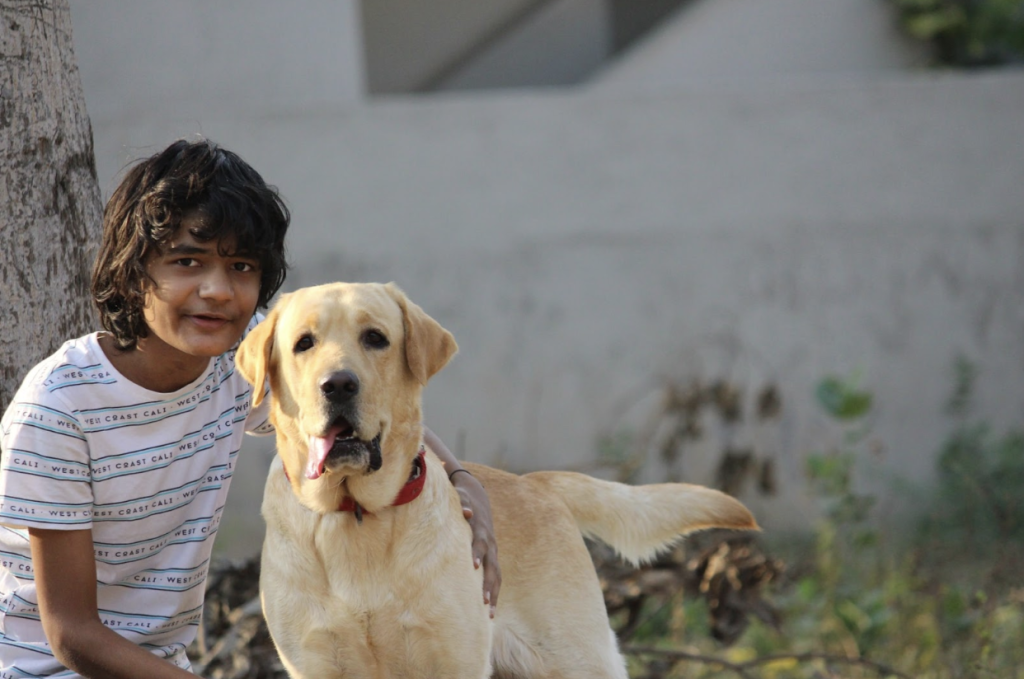 service dog with child