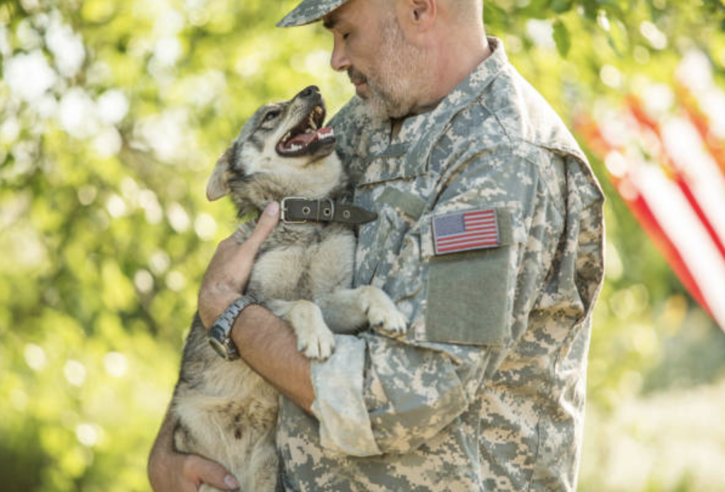 veteran and service dog